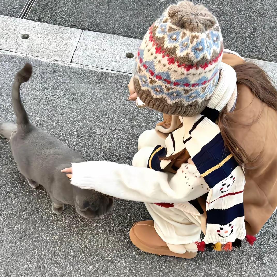 KT蓝莓酱