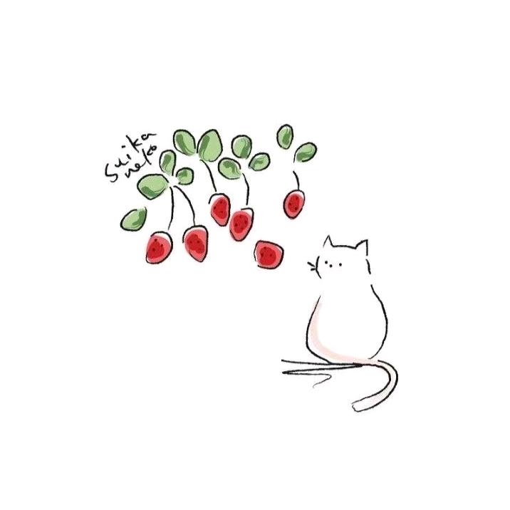 桌子会说话🗣️