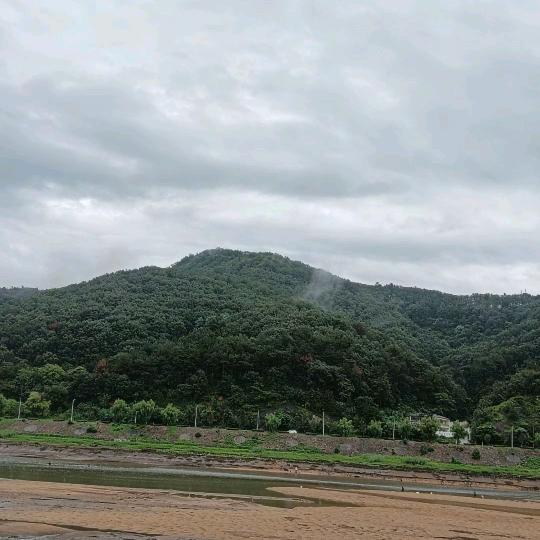 青山先生