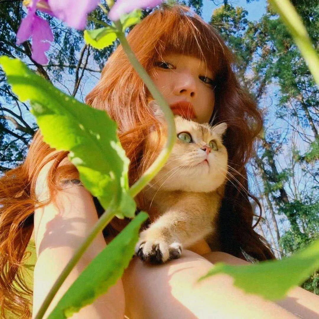 丽丽今天也很困