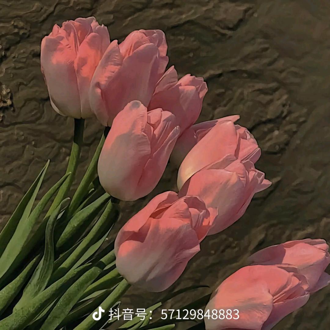 一💐王💐无际