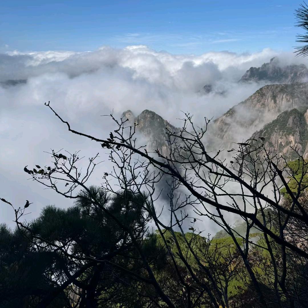 楚云湘雨