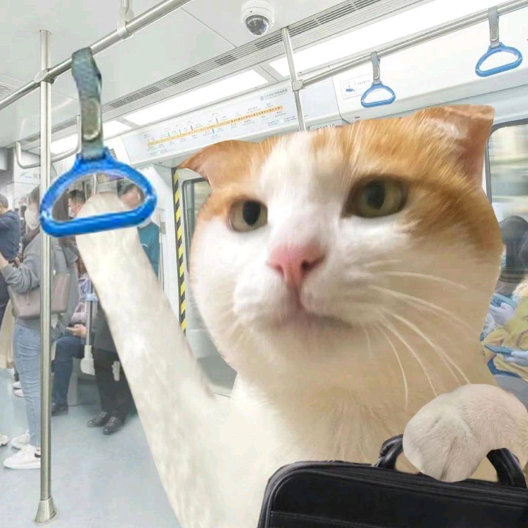 青椒炒猫咪