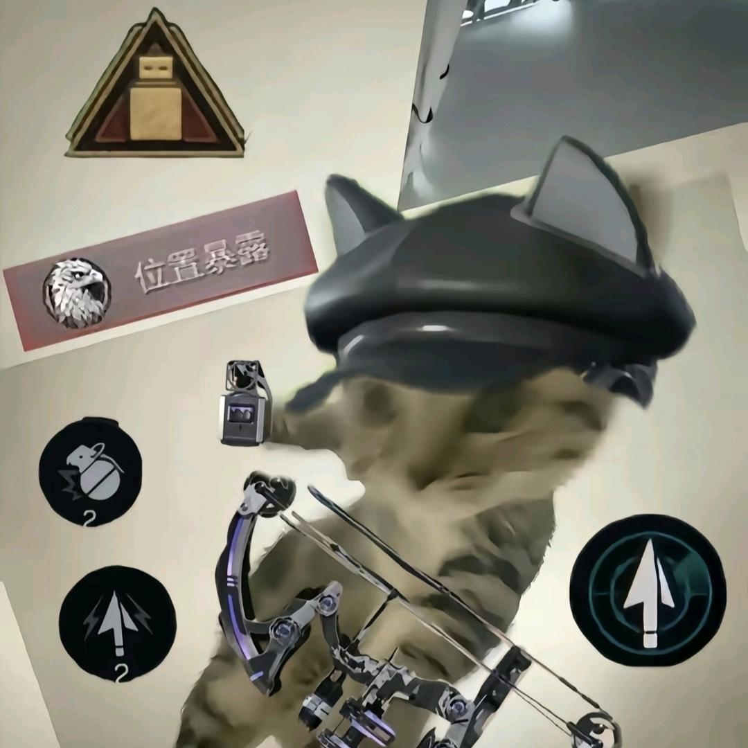 兔子呀