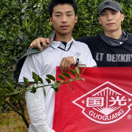 柑橘种植小杨