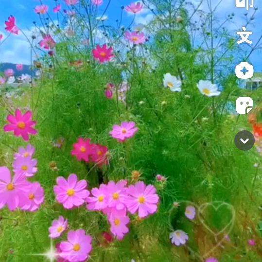 钱钱