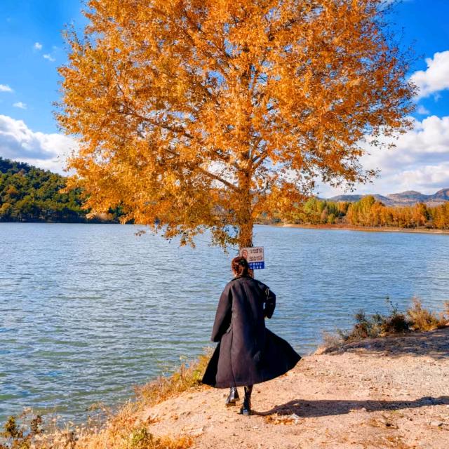 @🚬💞无爱一身轻♡ꦿ᭄: