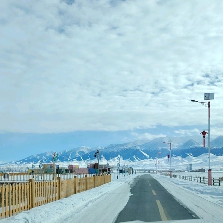 重生之我在新疆打零工