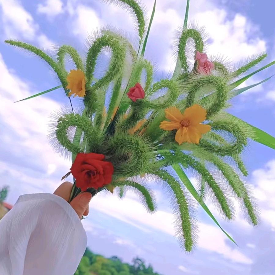 开州拾光花开