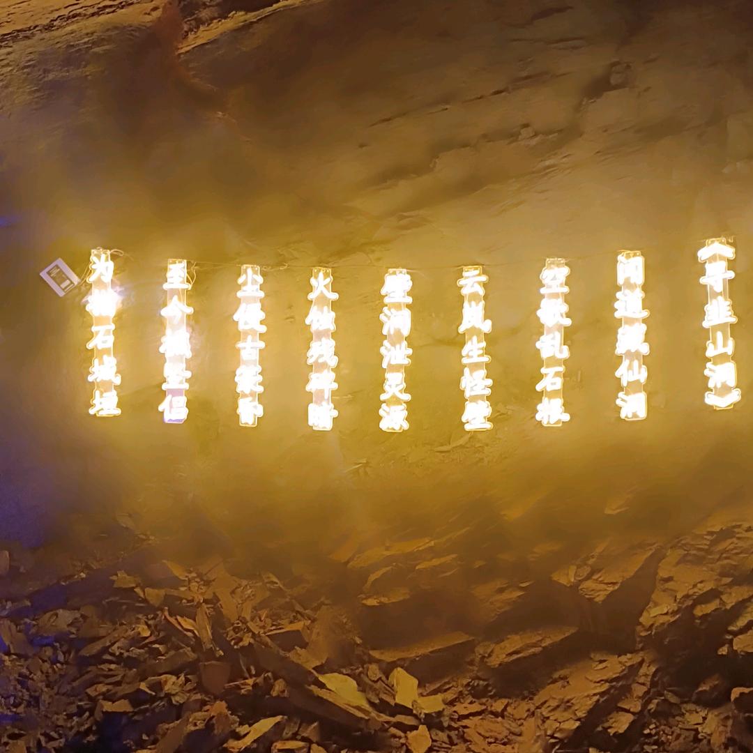 骑着猪🐷上高速