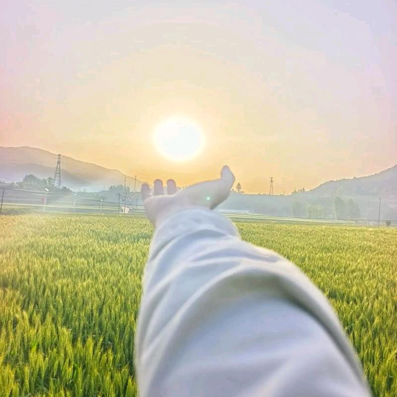 阳光