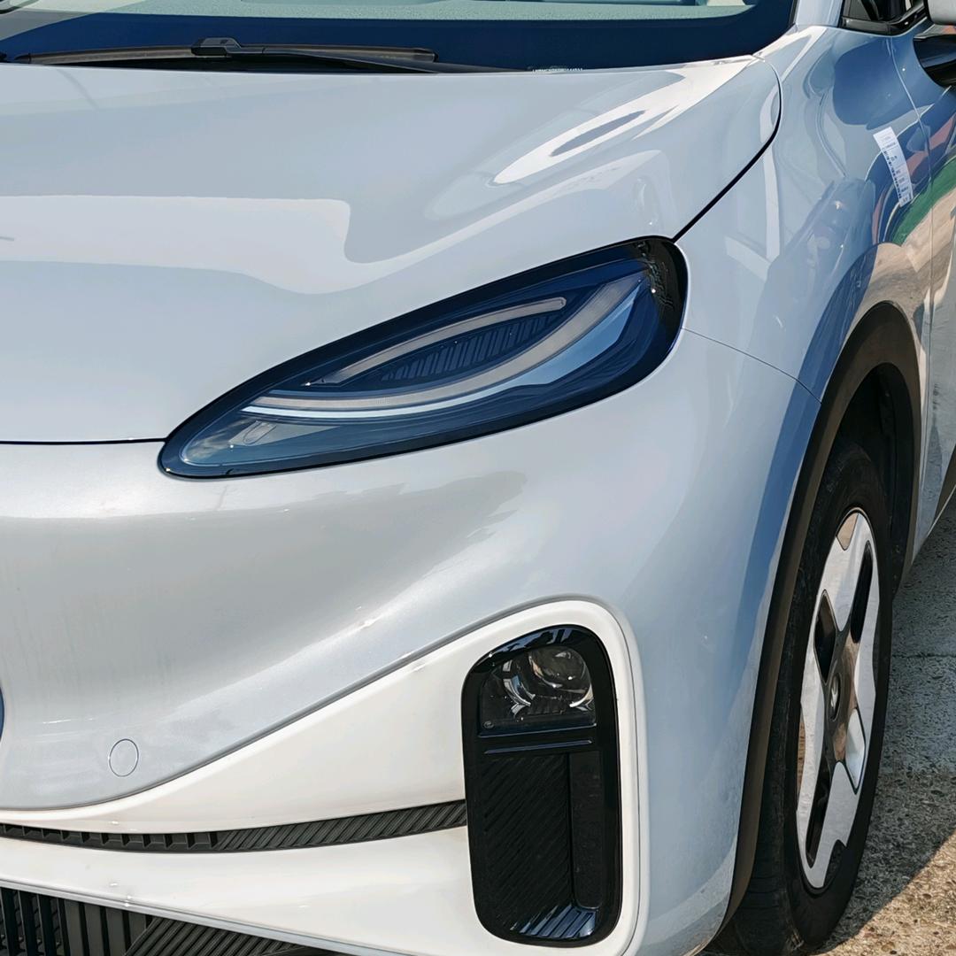 宜春和丰极狐-销售