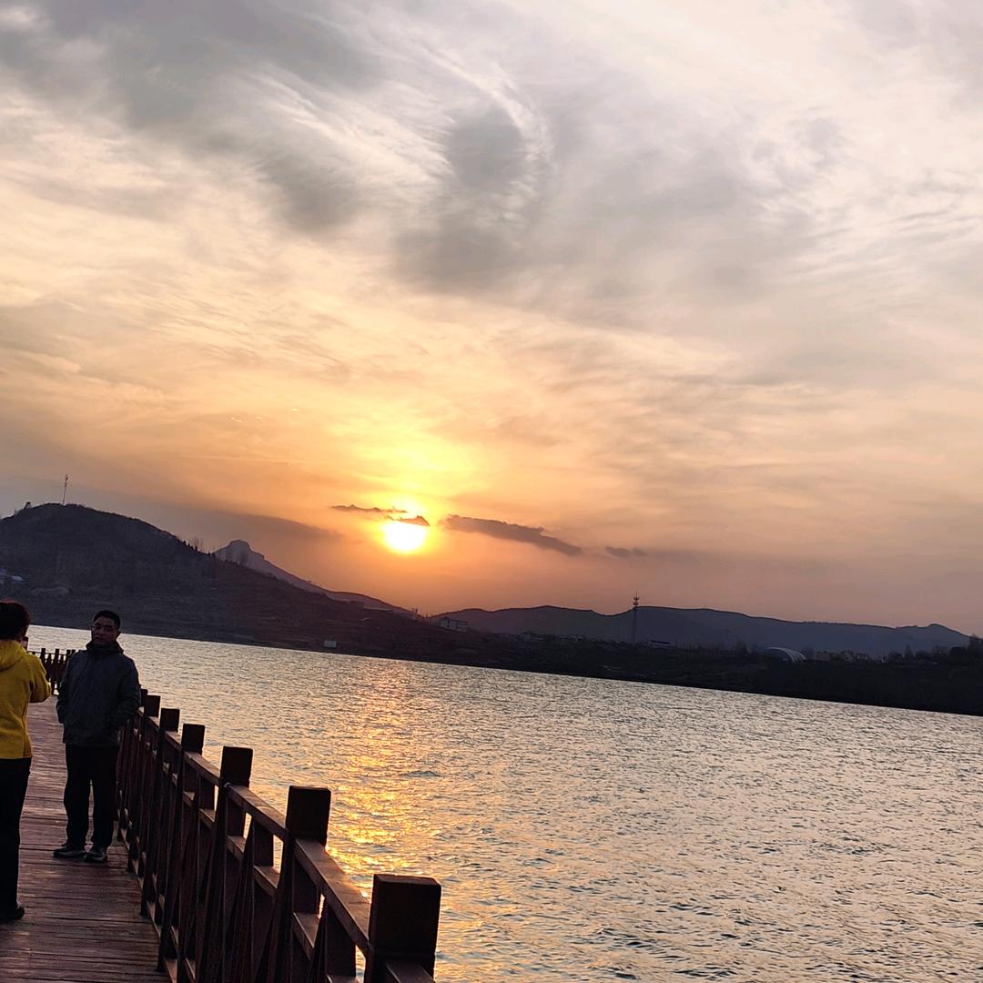 东方树叶茉莉花