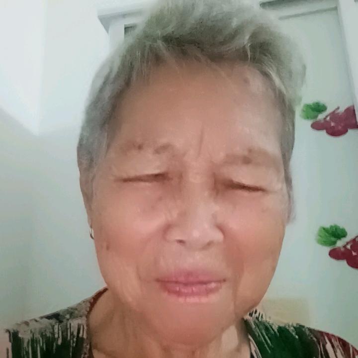 小米猪