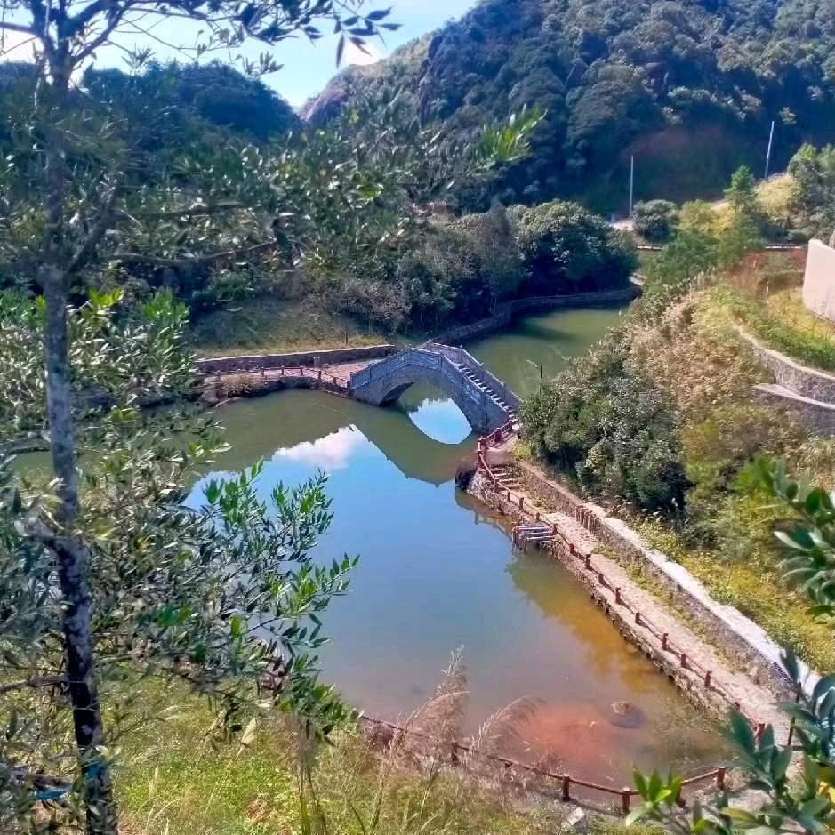 小兔子。