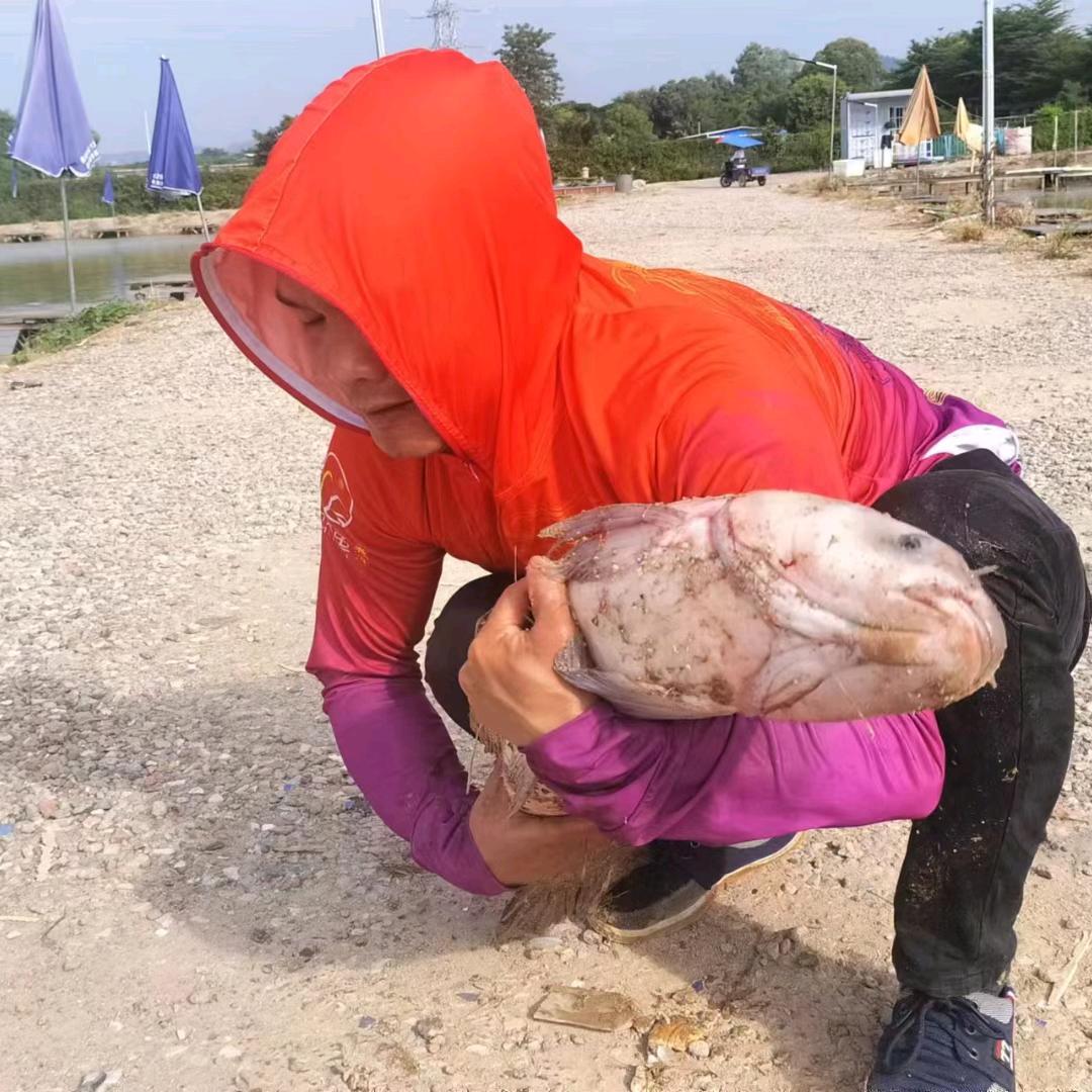 🚬ಇ᭄薄情࿆ྃ࿐