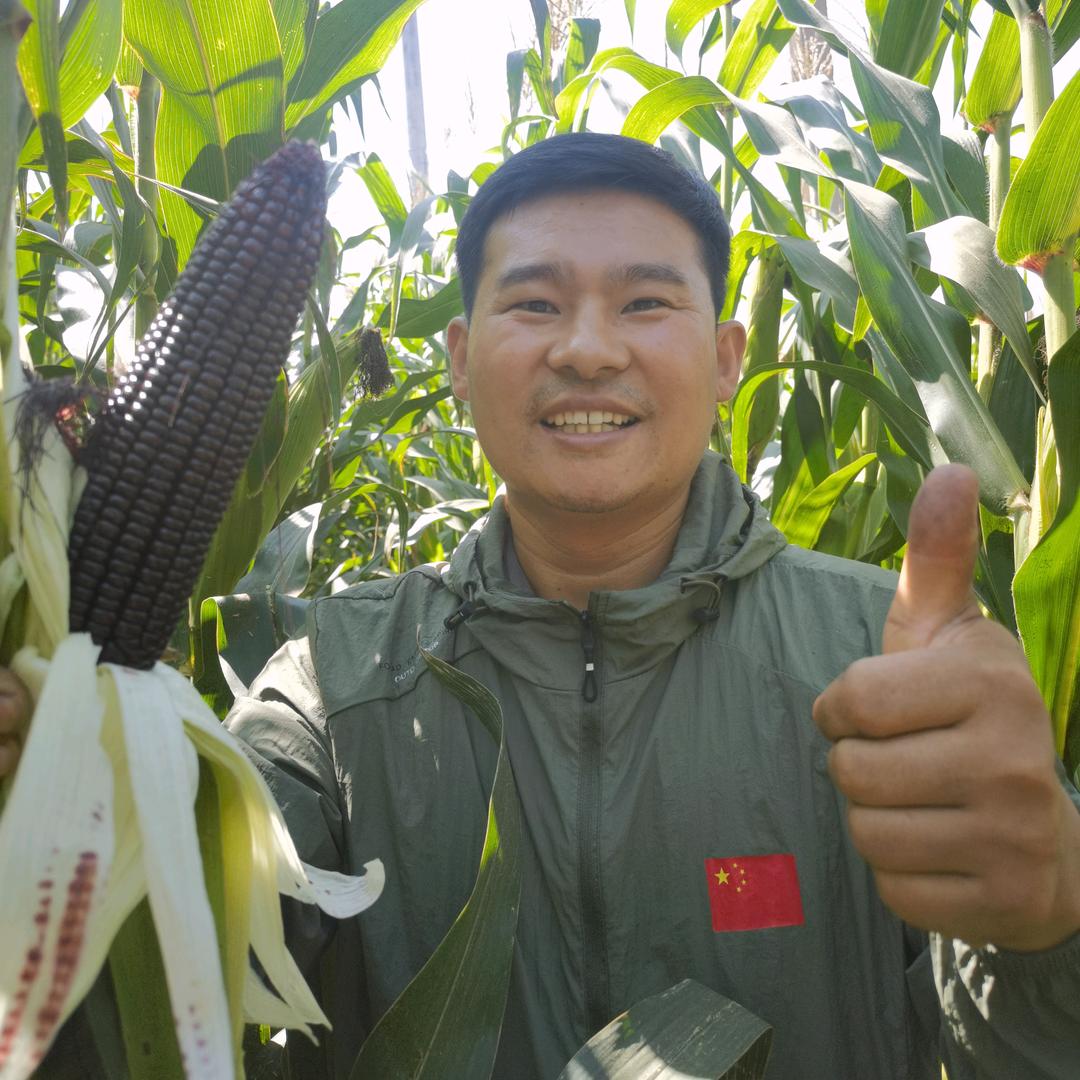 宁夏刘玉米🌽
