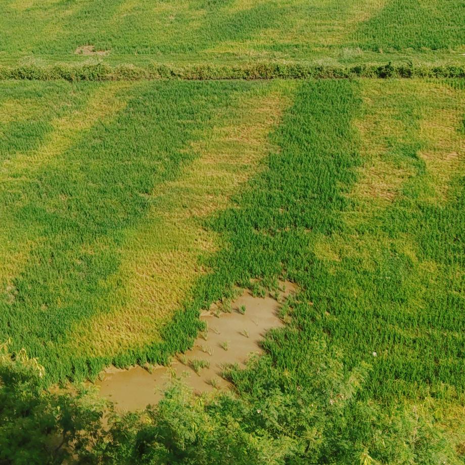 爱财( ‘-ωก̀ )爱己