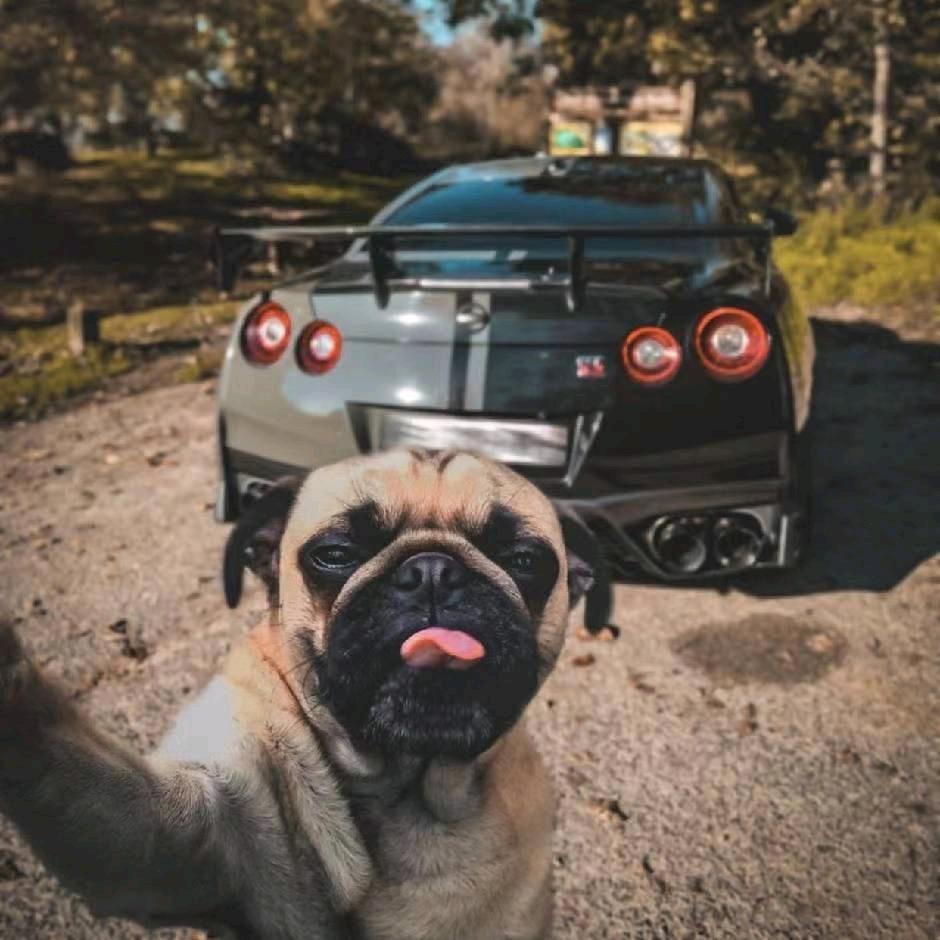 天宫游泳健身王坤