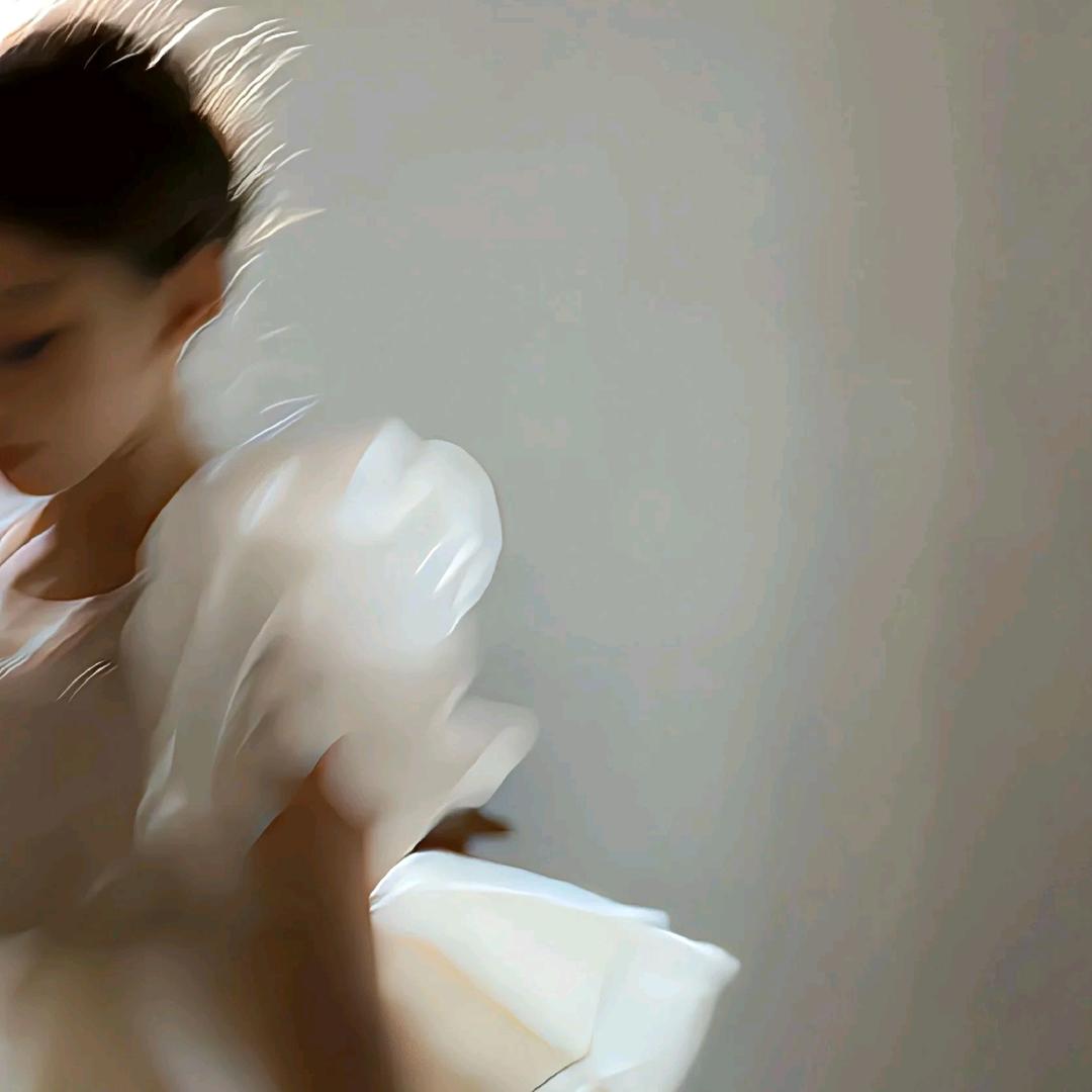 ¹只绵羊🐑
