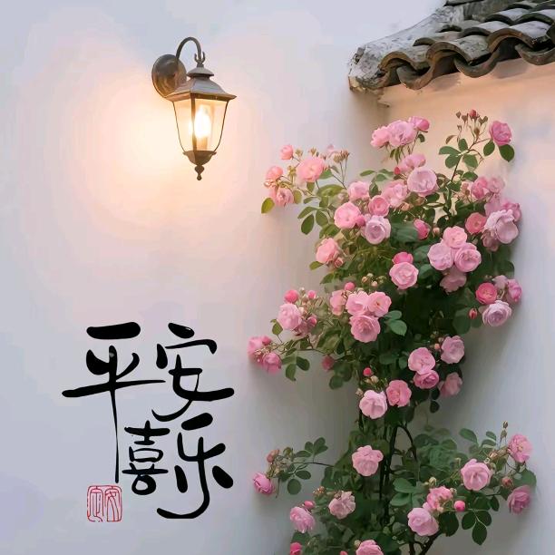 小刘❤