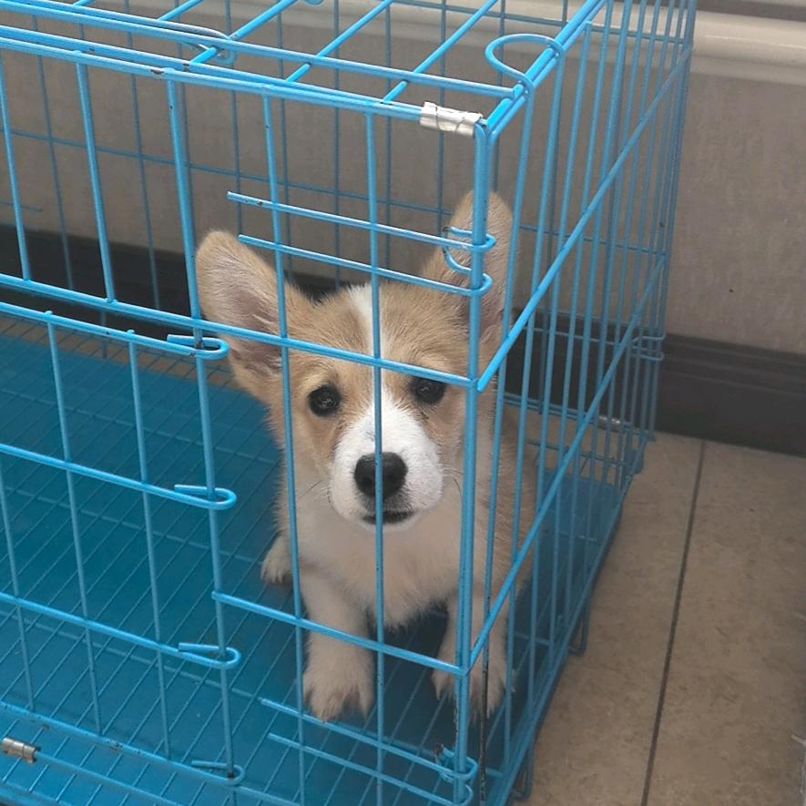 抖音抖一抖
