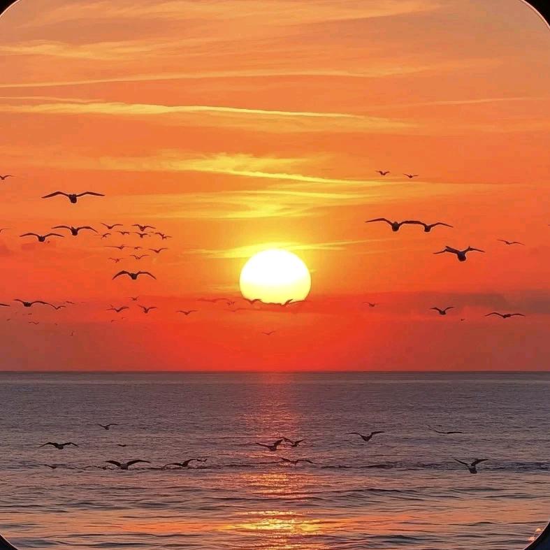 幸运枫叶（Mr. Wu ）🇨🇳