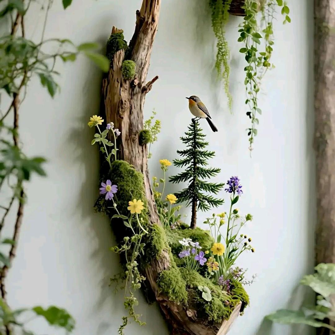 🐠🐠🐠🐠🐠🐠🐠🐠🐠🐠