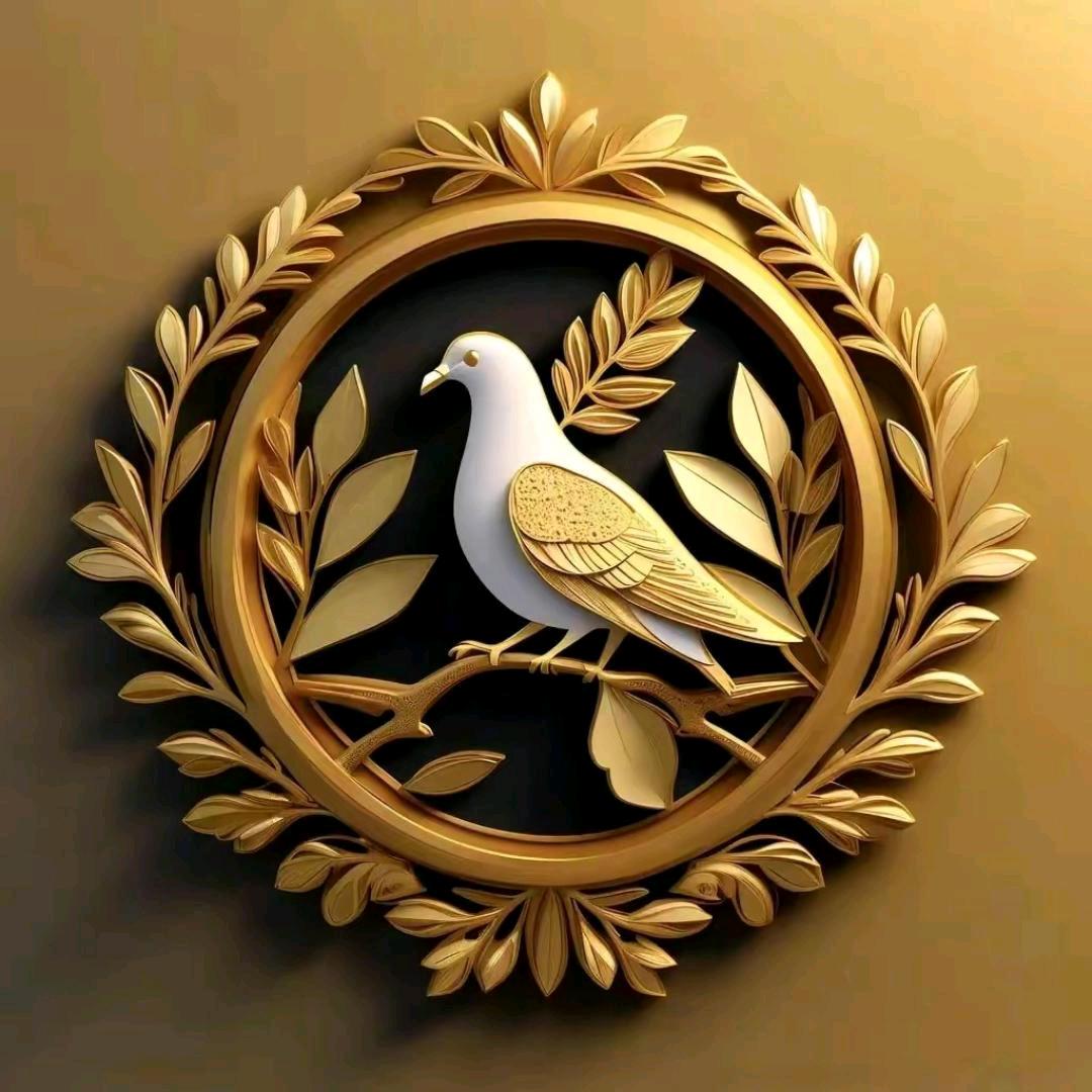 🕊️白鸽鞋服百货