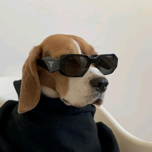 别烂在过去和梦里