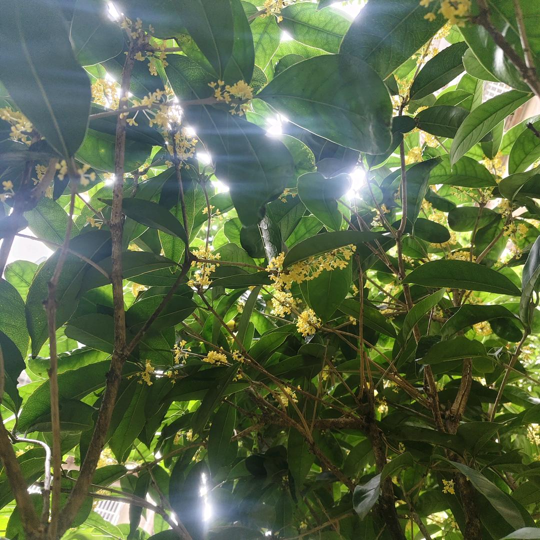 平平淡淡