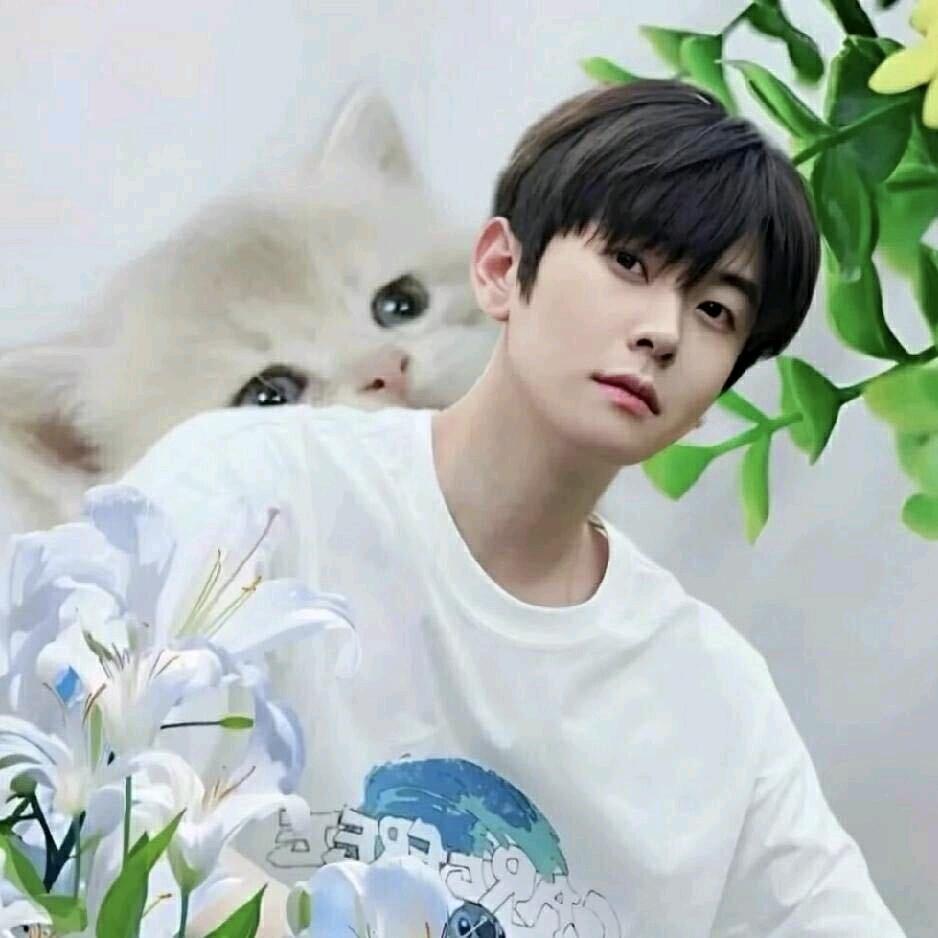 傻猫🐱