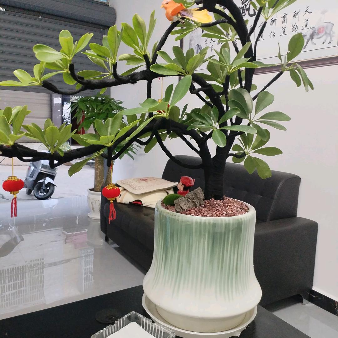 🍂❤《仅此而已🍒🥀