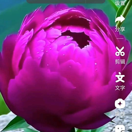 伍