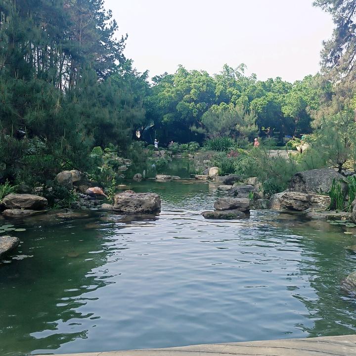 清风💘💘💘入梦