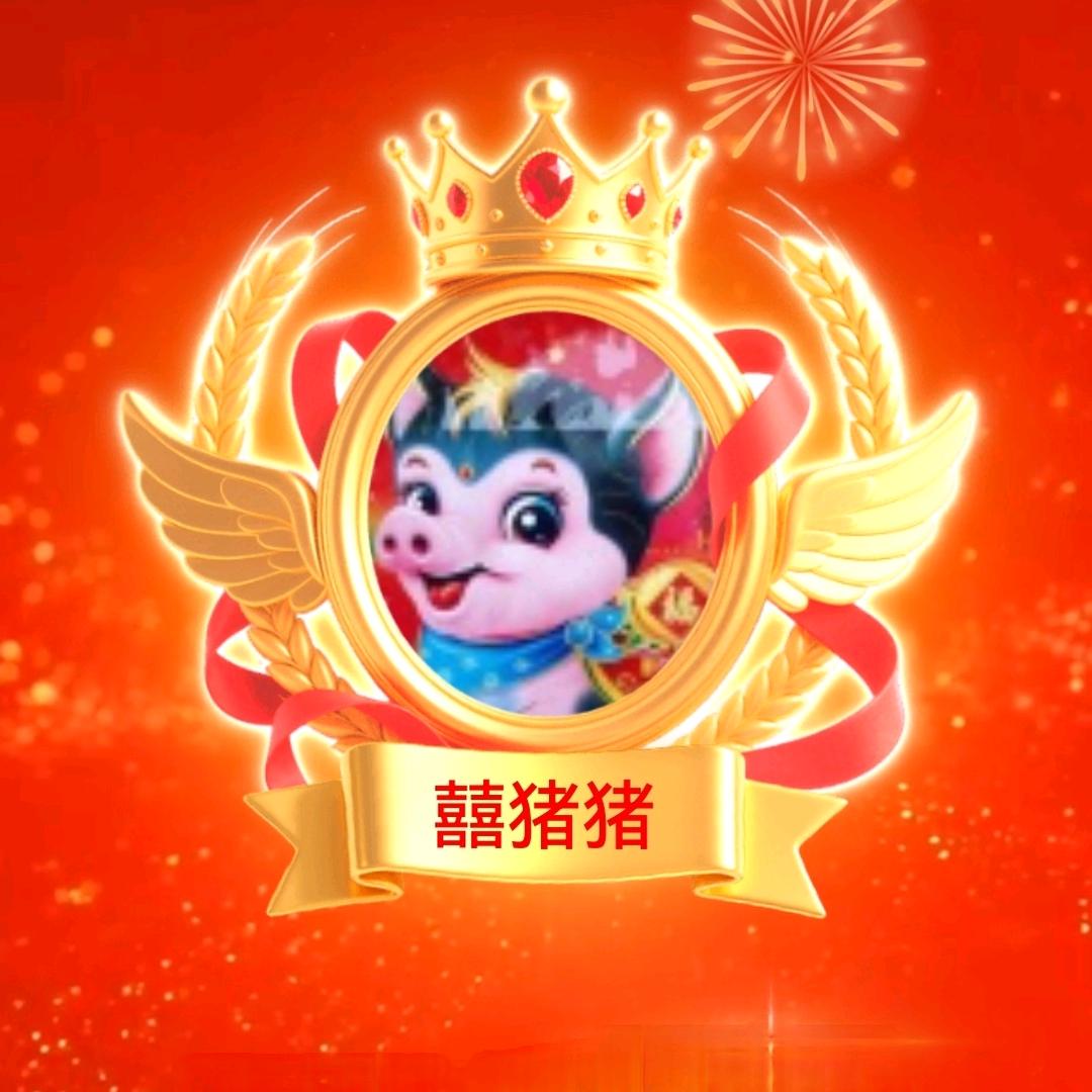 🐷囍猪猪🐷