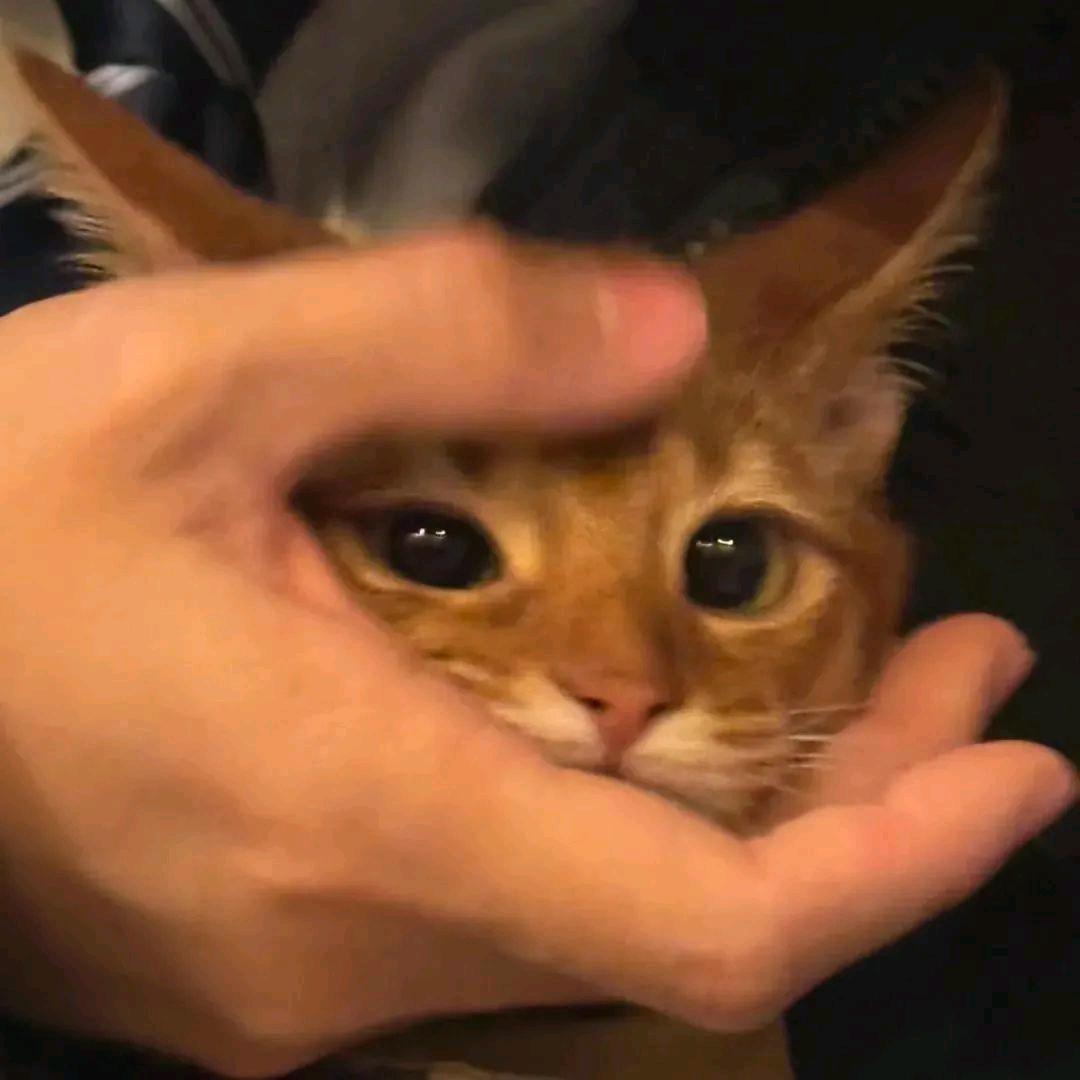 没醒