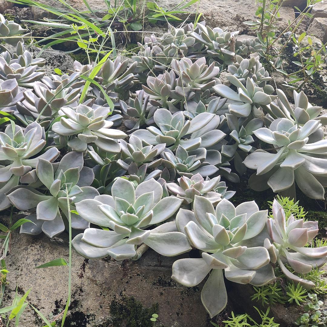 @💞࿐姐♛是限量版᭄💞࿐: