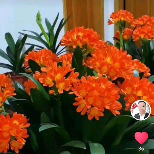 花卉养殖教学周老师