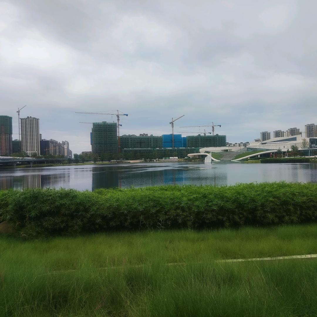 麦克没有疯