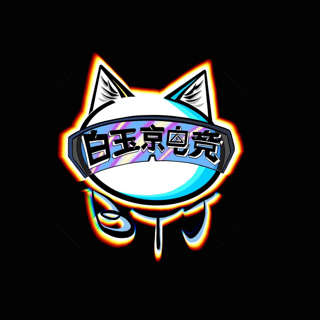 白玉京电竞（98保588三角洲缺pc高手