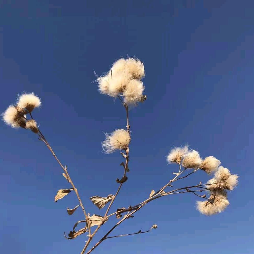 你是温暖逆光而来