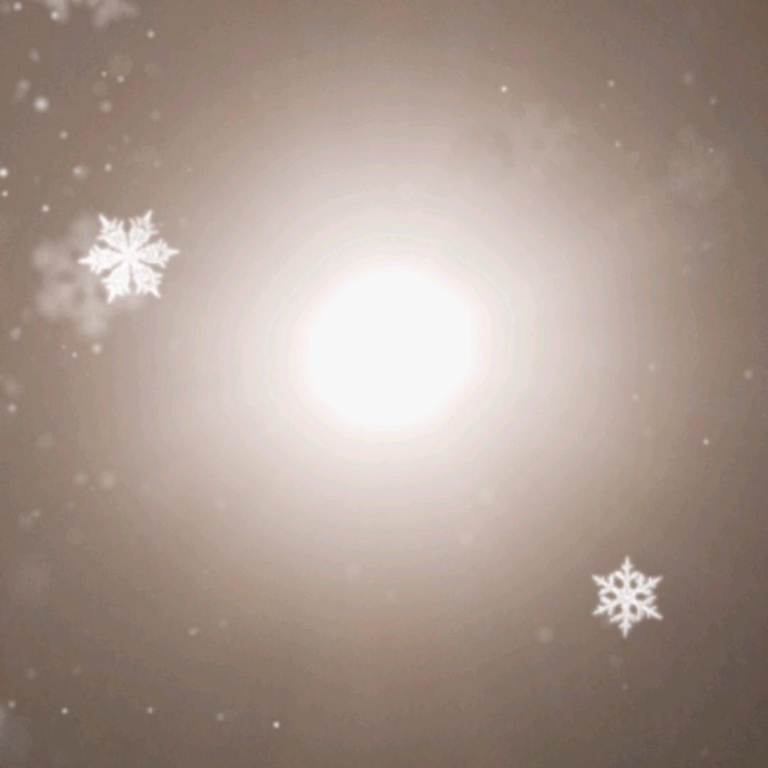 不pk不谈感情