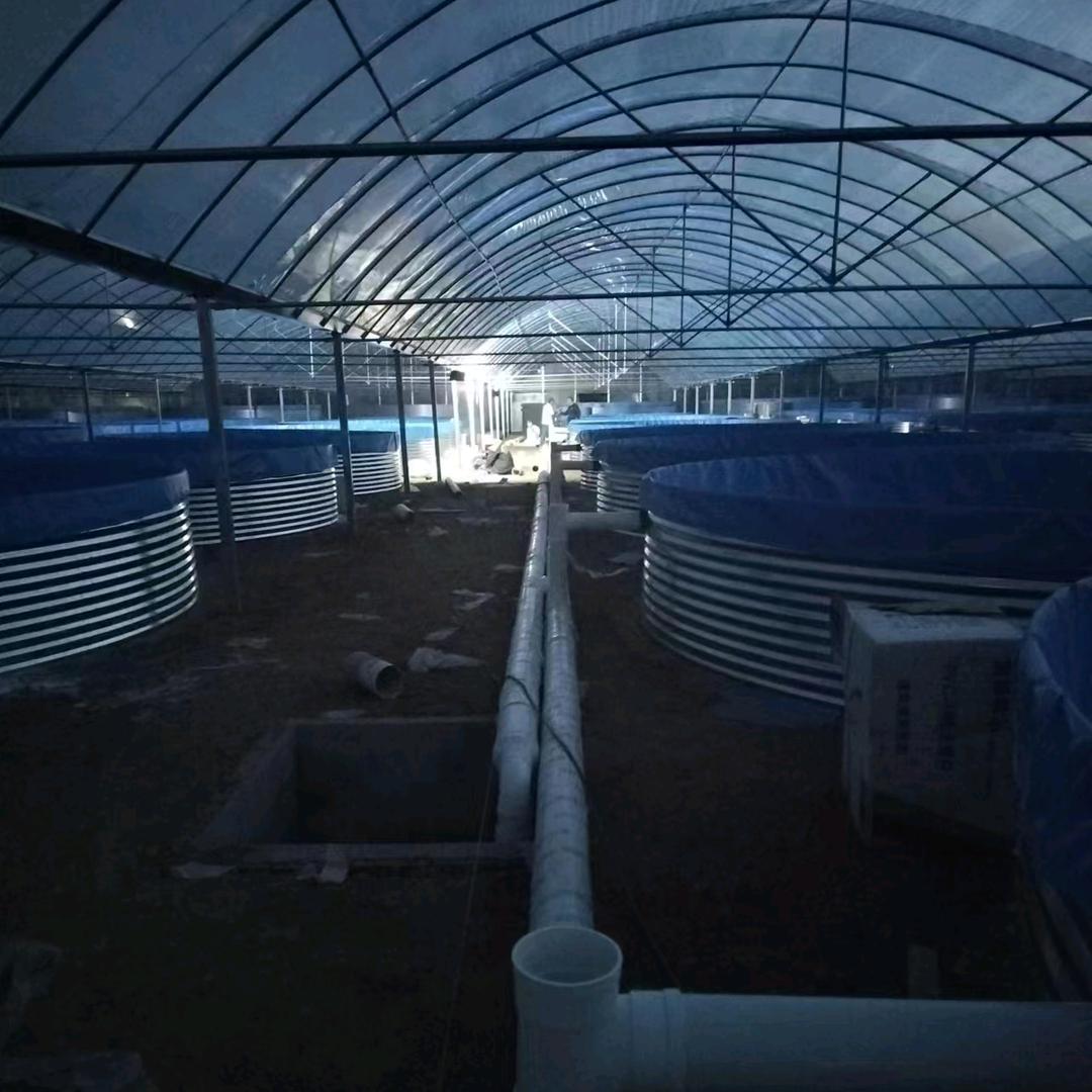 四川水产养殖小陈