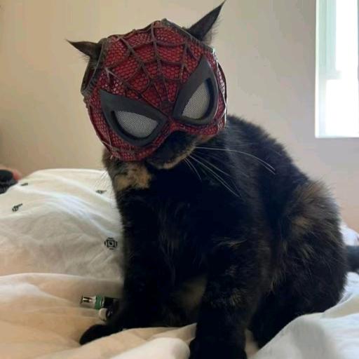 回逆的指针（火浣）🔥