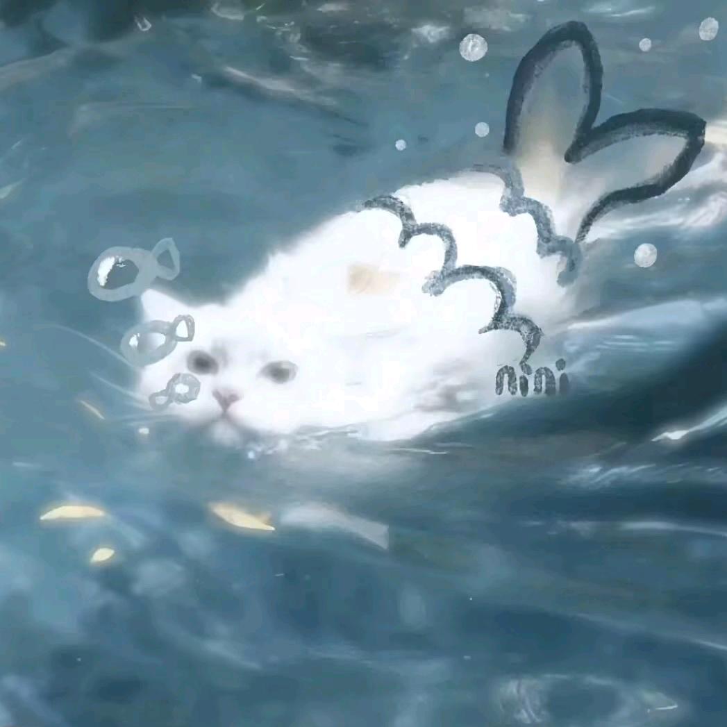 芝士咖喱虾🦐