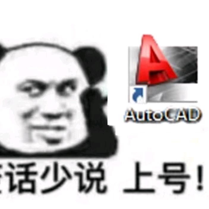 陈设计的猫