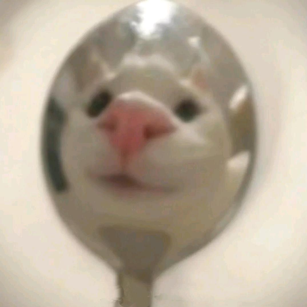 鱼豆腐🐈‍⬛