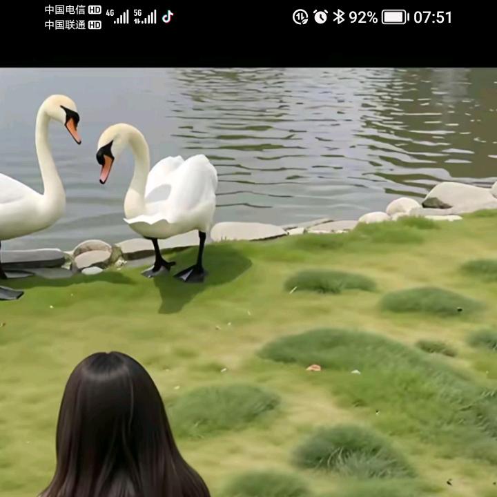 唐jw