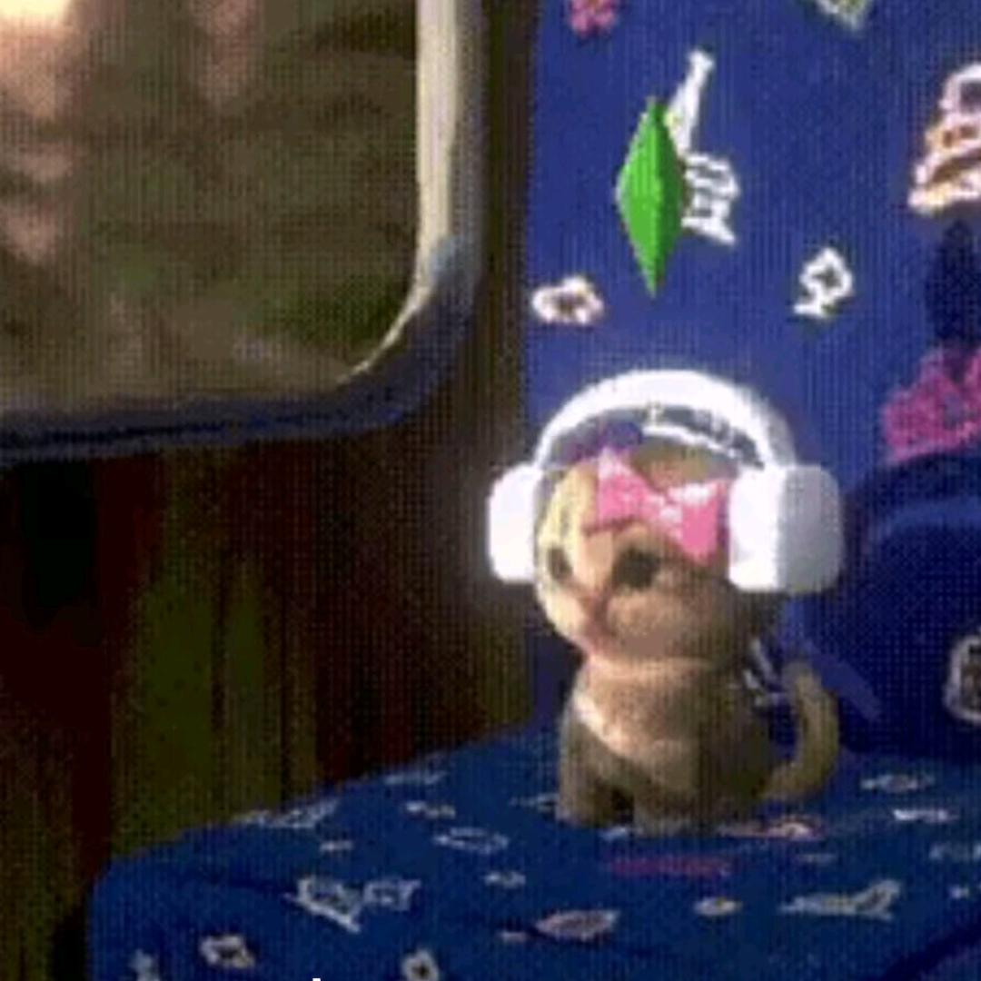 我想要两颗西柚